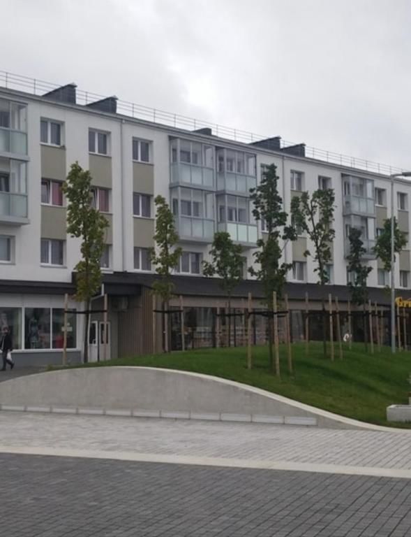 Апартаменты apartaments with beutiful view in sentrum Ramučiai-26
